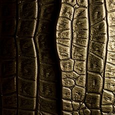 Savage 1stDibs_5.jpg