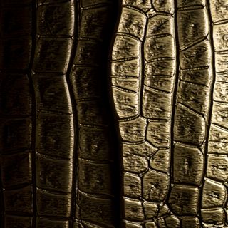 Savage 1stDibs_5.jpg